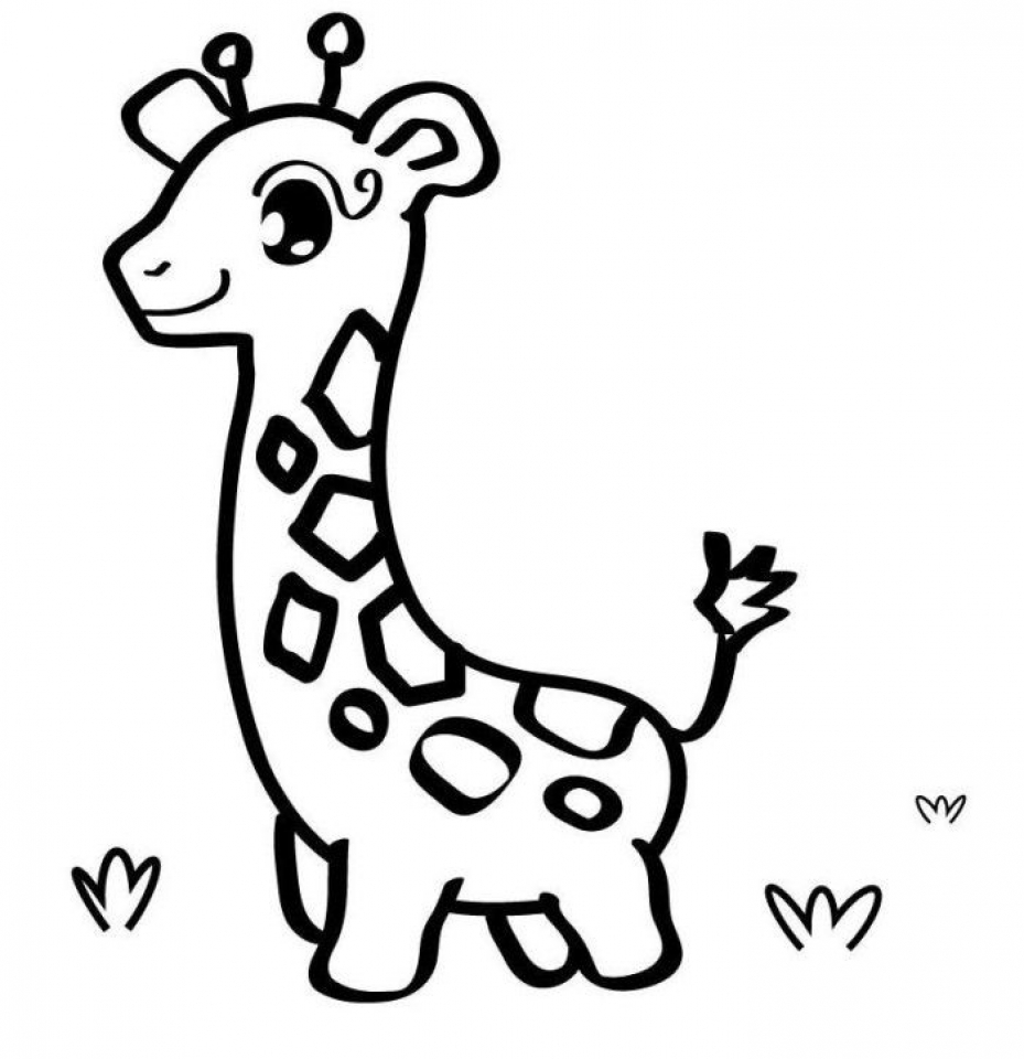 Baby Animal Coloring Pages For Kids