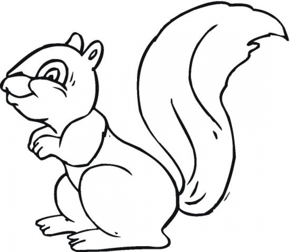 Download Get This Easy Squirrel Coloring Pages for Preschoolers 9iz28
