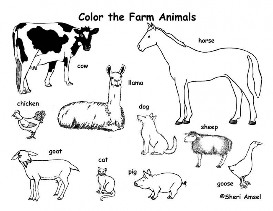Farm Animals Coloring Pages Learny Kids