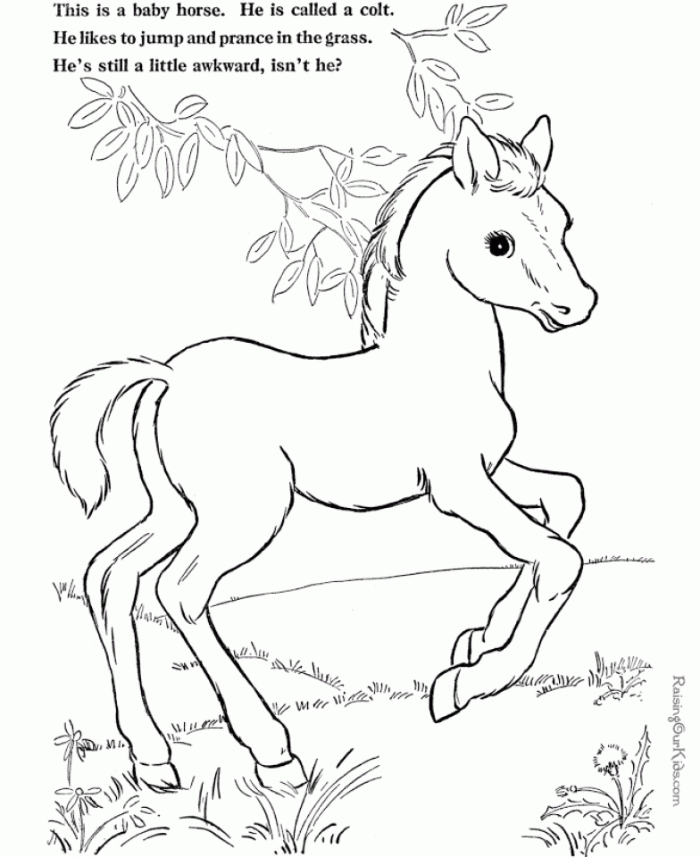 Free Coloring Pages For Kids Farm Animals Browserstorm