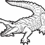 20+ Free Printable Alligator Coloring Pages - EverFreeColoring.com