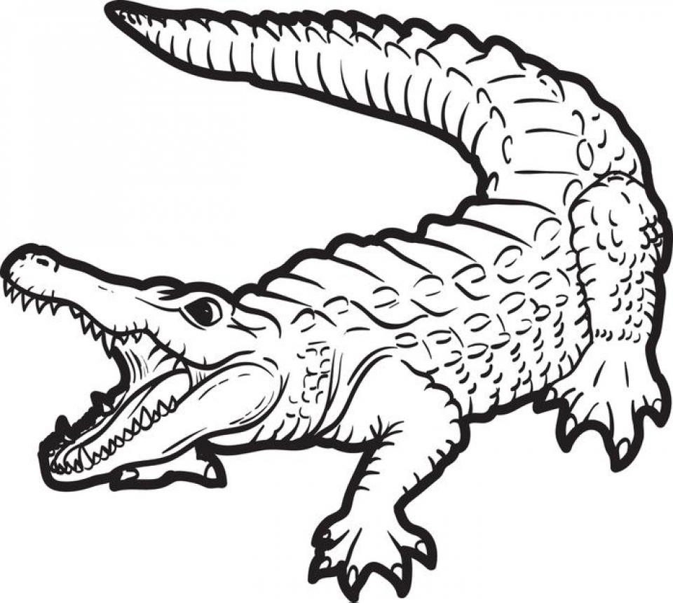 Get This Free Alligator Coloring Pages For Kids Yy6l0