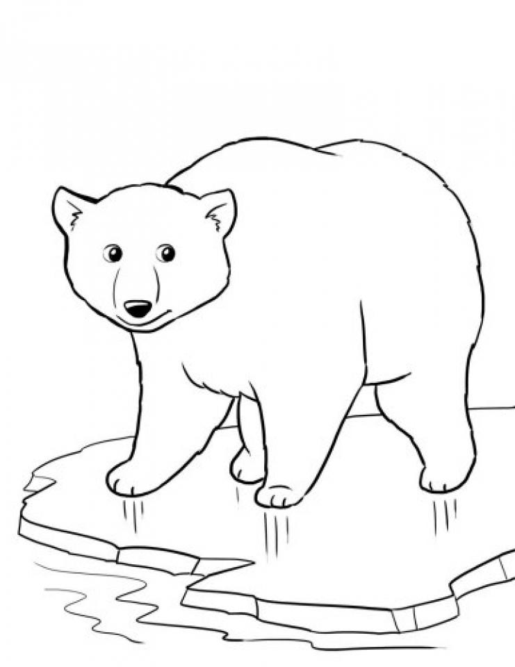 cute polar bear coloring page