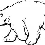 Download 20+ Free Printable Polar Bear Coloring Pages ...