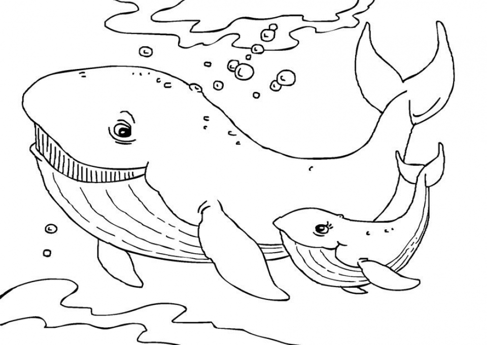 Gambar 20 Free Printable Whale Coloring Pages Everfreecoloring Whales ...