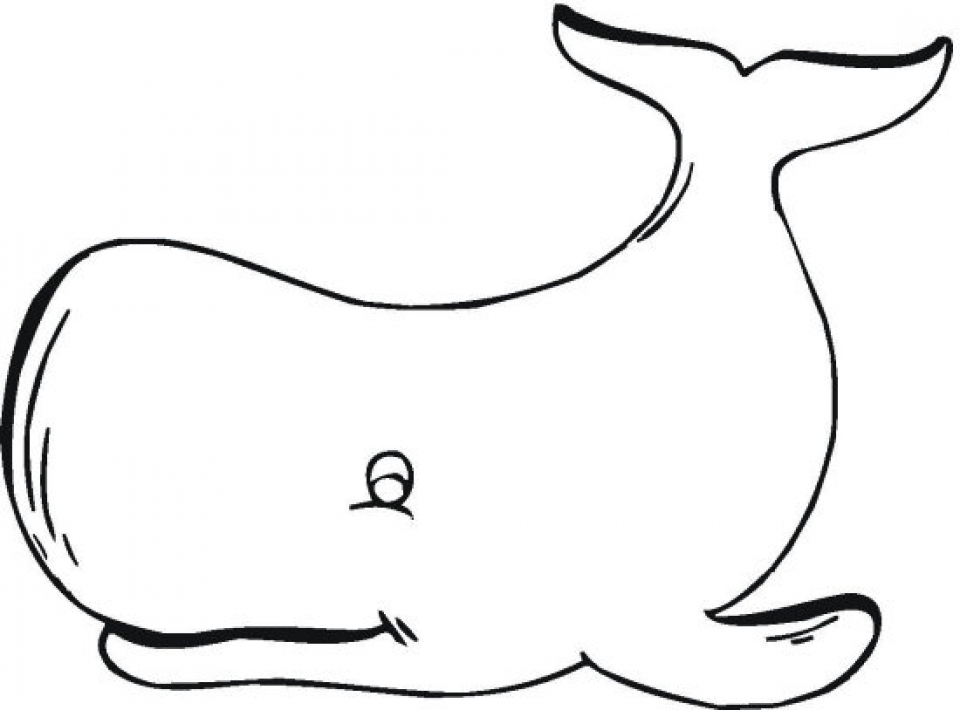 Get This Free Whale Coloring Pages 4488