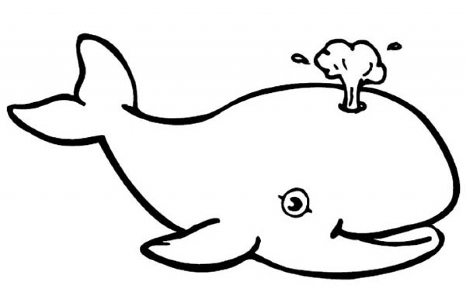 Get This Free Whale Coloring Pages to Print 12490