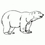 20+ Free Printable Polar Bear Coloring Pages - EverFreeColoring.com