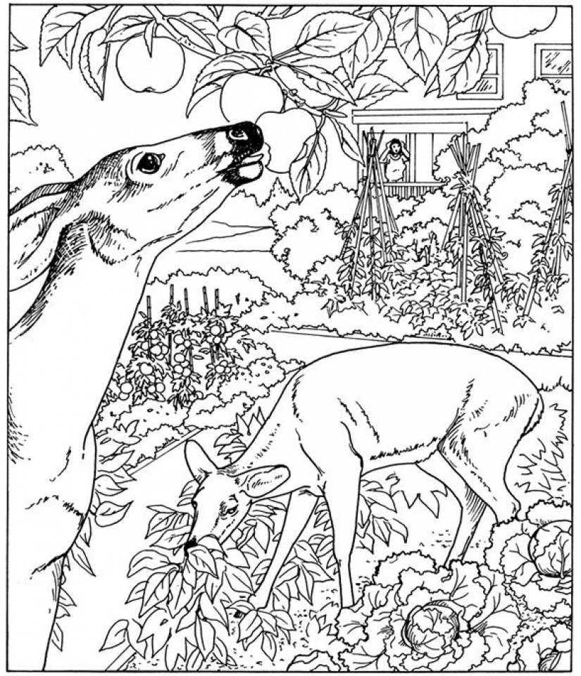 Get This Nature Coloring Pages for Toddlers dl53x
