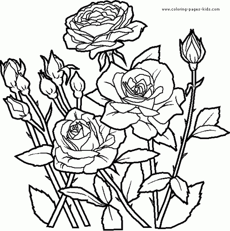 Get This Online Roses Coloring Pages for Adults 20 