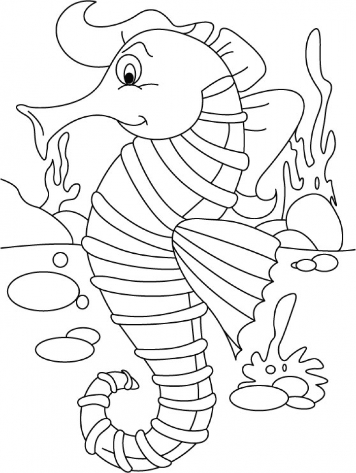Seahorse Coloring Pages Printable - Printable Word Searches