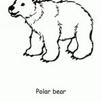 20+ Free Printable Polar Bear Coloring Pages - EverFreeColoring.com