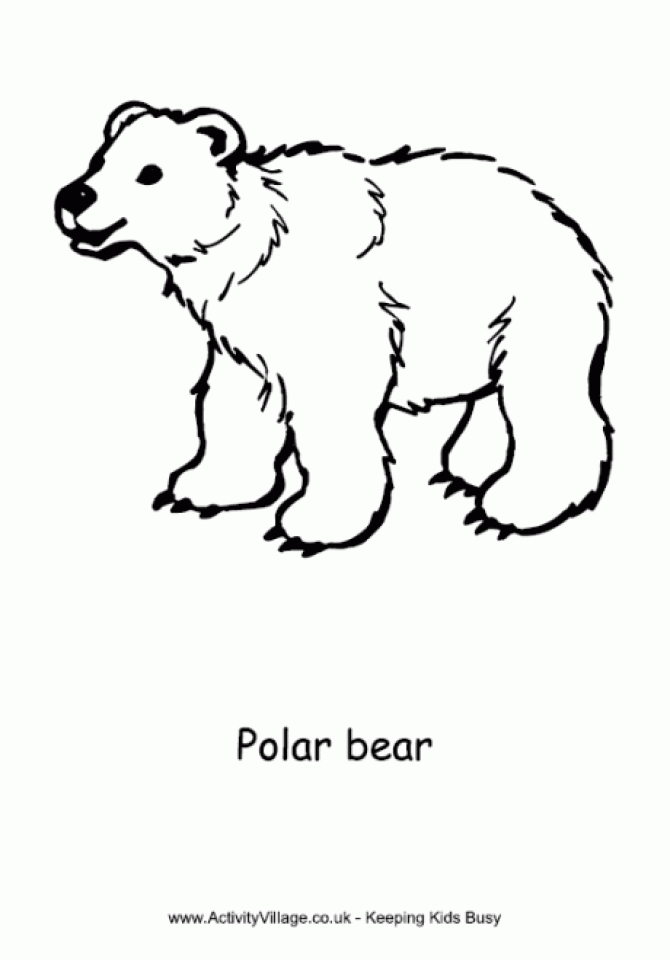 Get This Polar Bear Coloring Pages for Toddlers dl53x