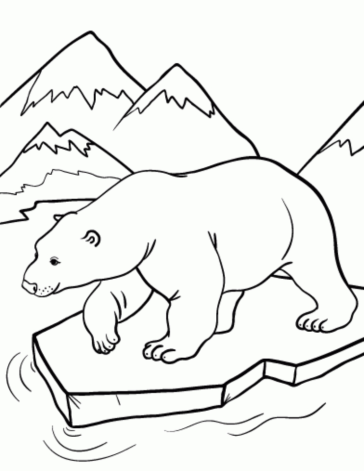 dibujo-de-oso-polar-010 | Dibujos y juegos