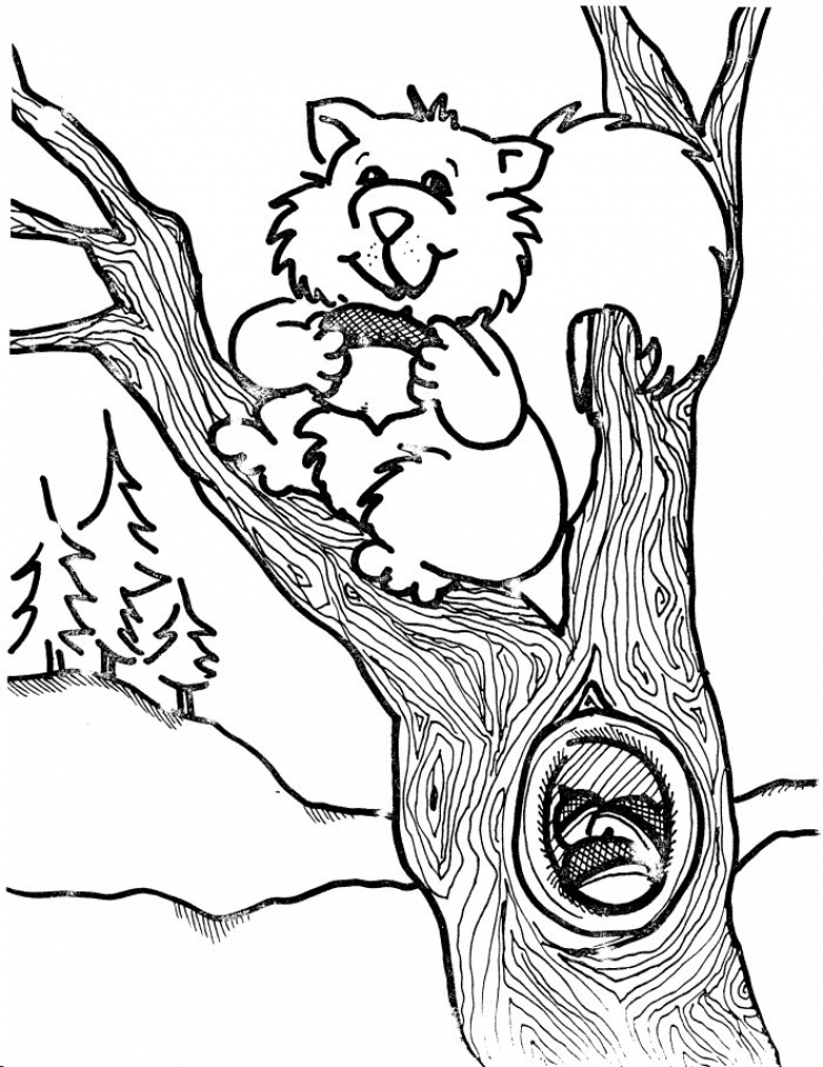 Get This Printable Image of Squirrel Coloring Pages t2o1m