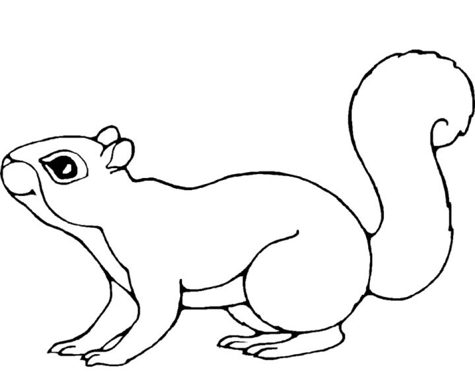 Get This Printable Squirrel Coloring Pages for Kids 5prtr