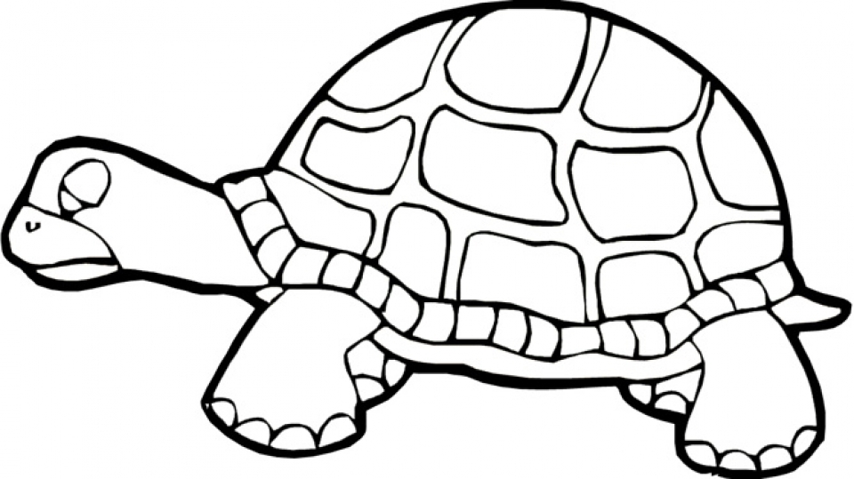 Get This Printables for Toddlers Turtle Coloring Pages ...