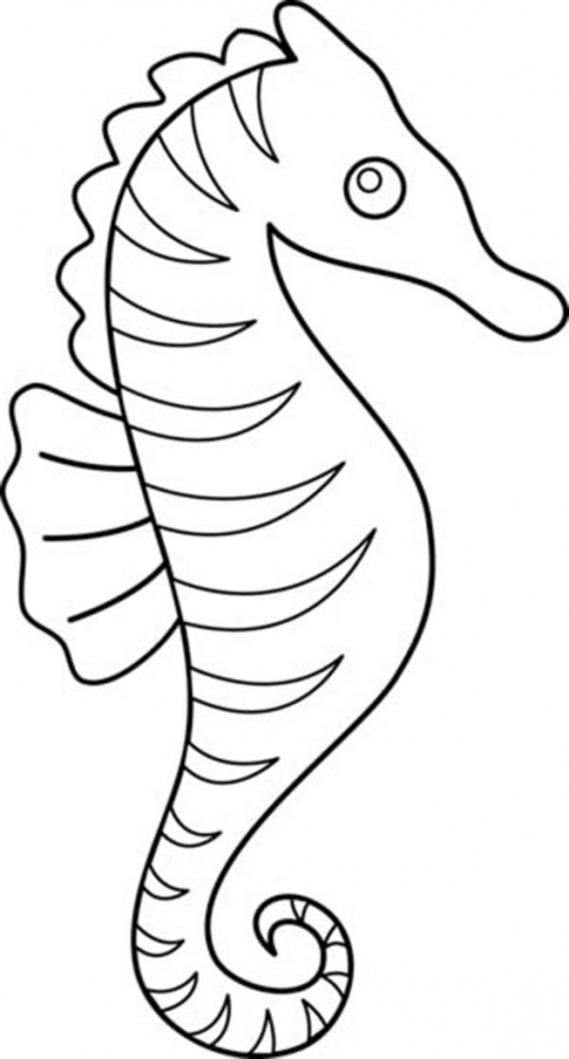 Get This Seahorse Coloring Pages Free Printable 13110