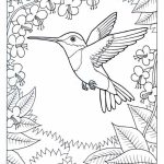 20+ Free Printable Hummingbird Coloring Pages - EverFreeColoring.com