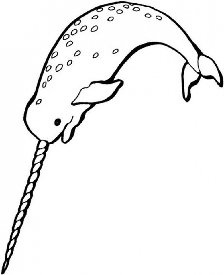 Get This Free Narwhal Coloring Pages 39747