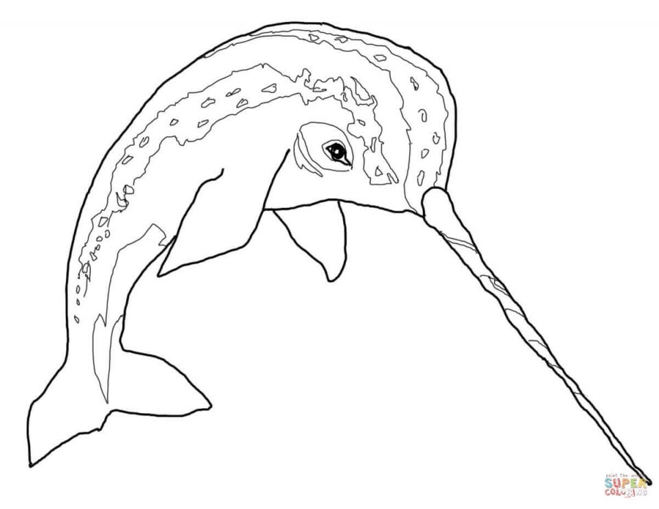 Download Get This Narwhal Coloring Pages Kids Printable TGM21
