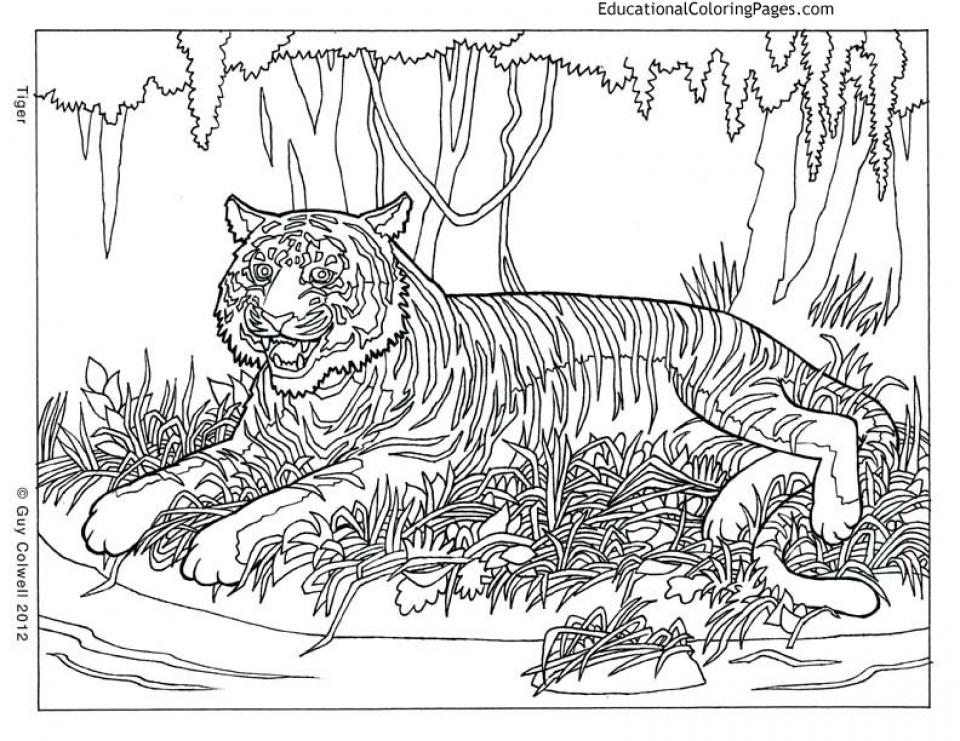 7800 Top Coloring Pages For Adults Difficult Animals Download Free Images