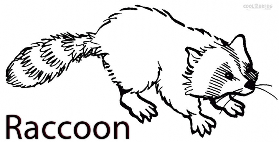 20+ Free Printable Raccoon Coloring Pages  