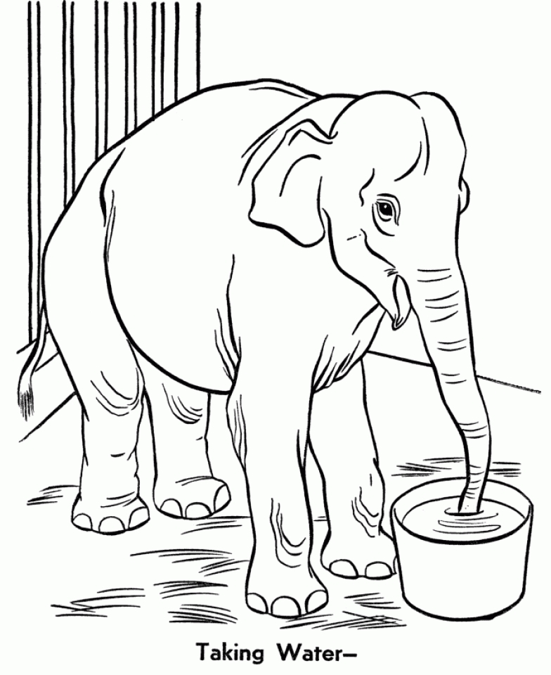 Free Printable Coloring Pages Of Zoo Animals