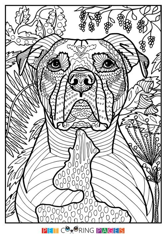 Get This Summer Coloring Pages to Print Out for Adults 03127