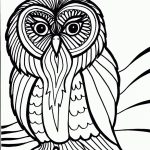 20+ Free Printable Bird Coloring Pages - EverFreeColoring.com