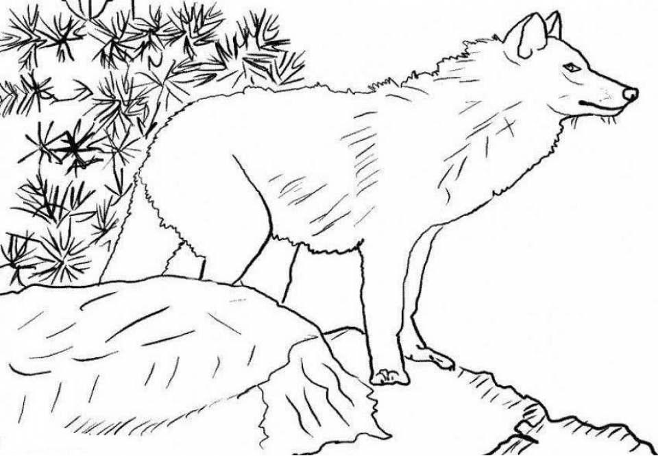 Wolfoo coloring page  Coloring pages, Strawberry shortcake coloring pages,  Coloring books