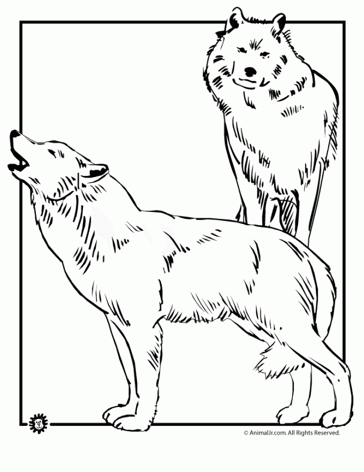 20 Free Printable Wolf Coloring Pages Everfreecoloring Com