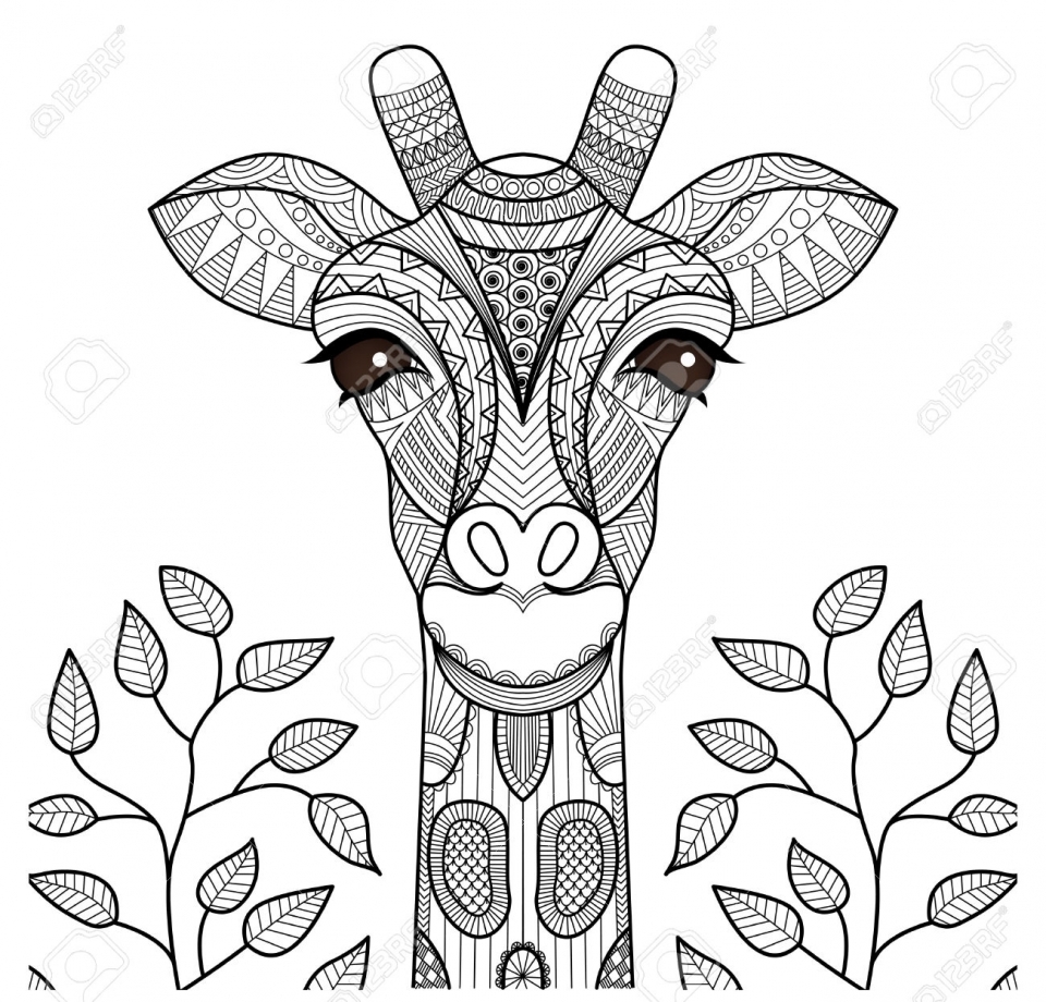Giraffe Coloring Pages for Adults Zentangle Art