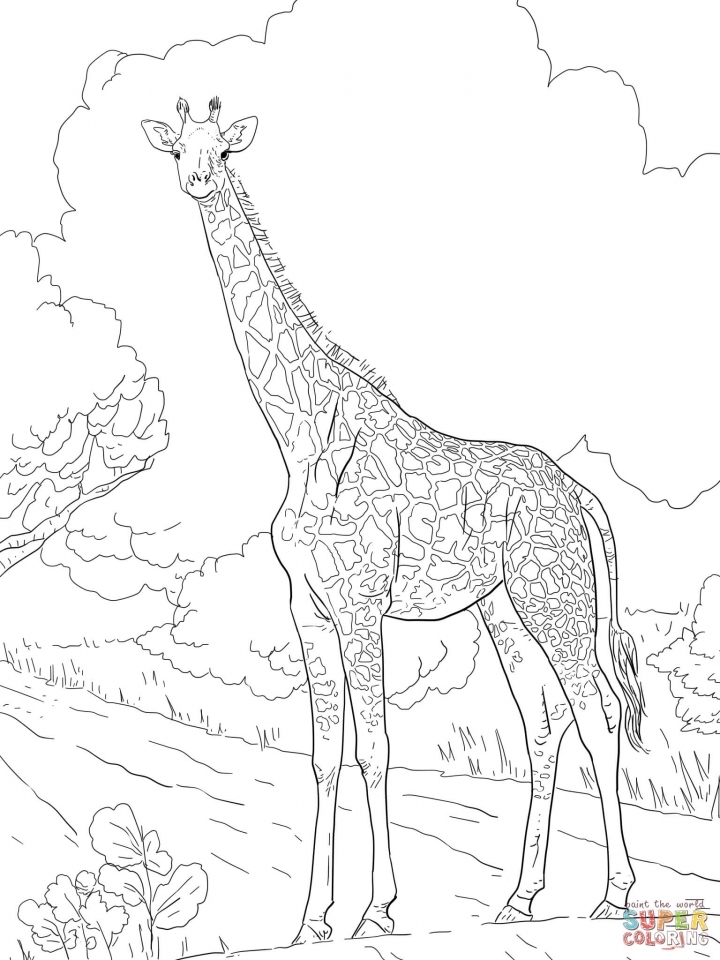 Get This Giraffe Coloring Pages Hard Printables for Older ...