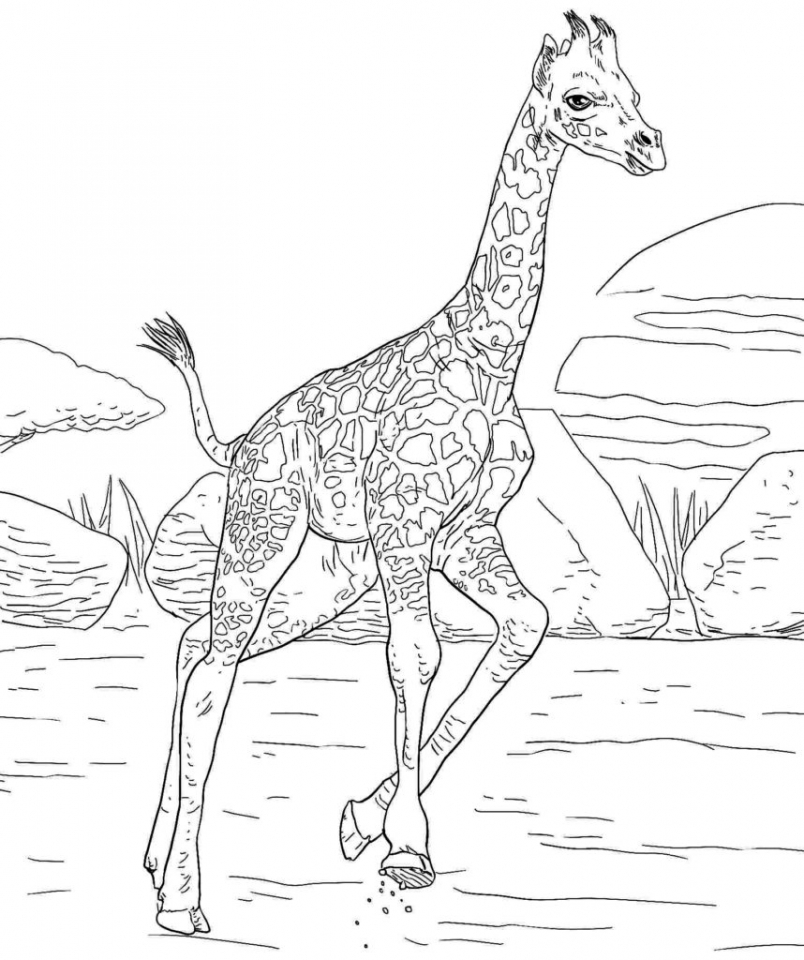 Get This Giraffe Coloring Pages Hard Printables for Older ...