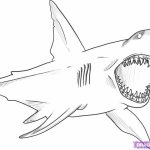 20+ Free Printable Shark Coloring Pages - EverFreeColoring.com