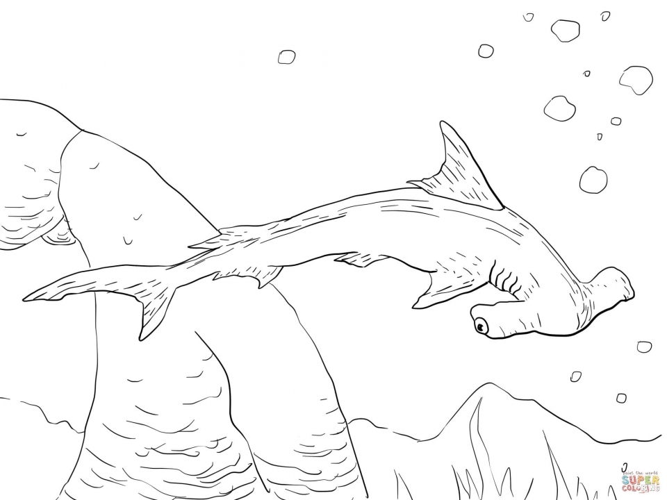 Get This Hammerhead Shark Coloring Pages 33189