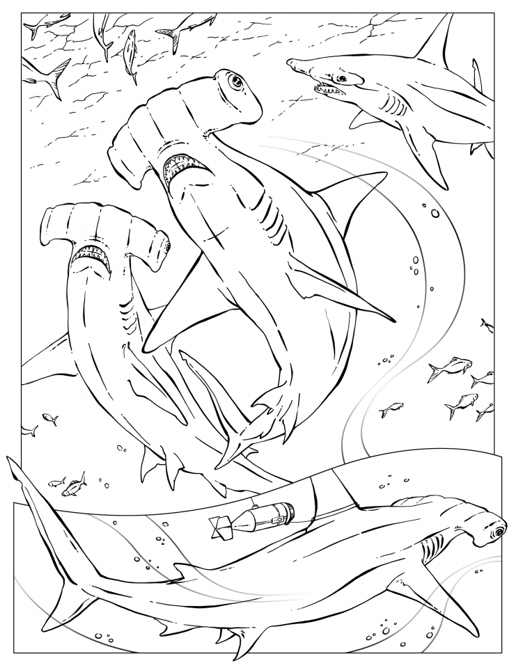 Get This Hammerhead Shark Coloring Pages 88410