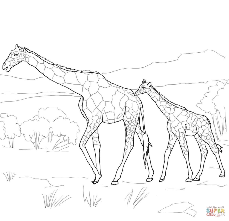 get this realistic giraffe coloring pages for adults 94710