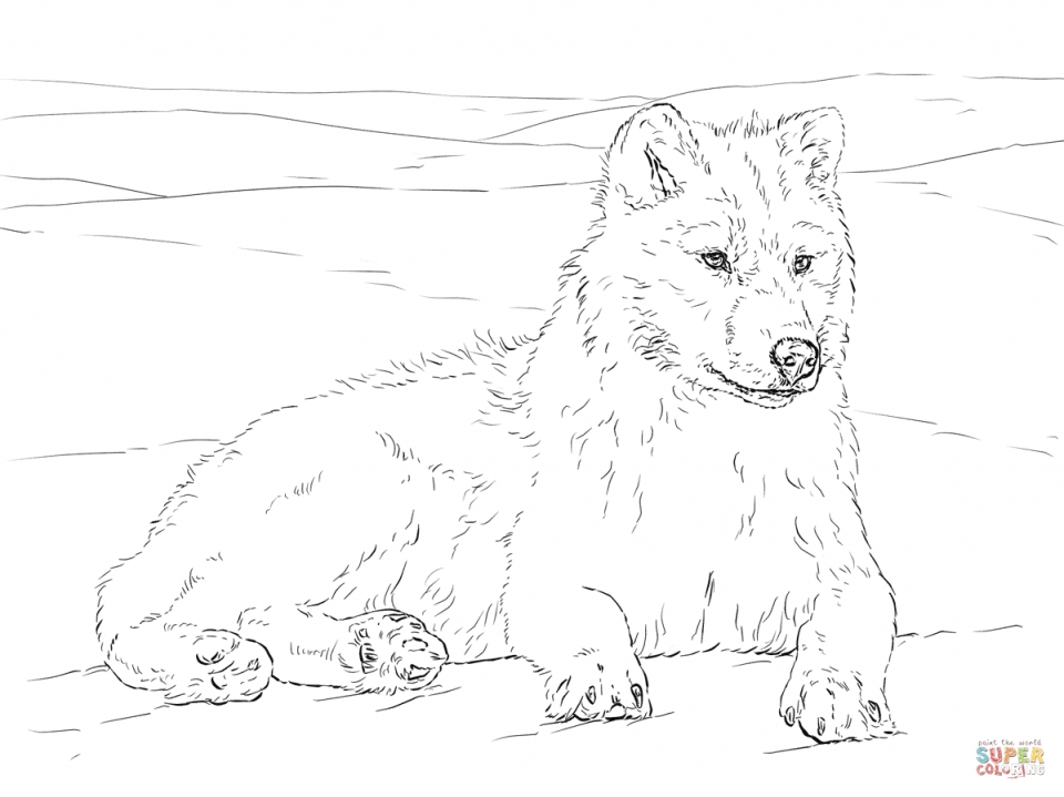 Get This Realistic Wolf Coloring Pages for Adults Free ...