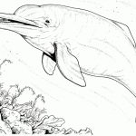 20+ Free Printable Dolphin Coloring Pages - EverFreeColoring.com