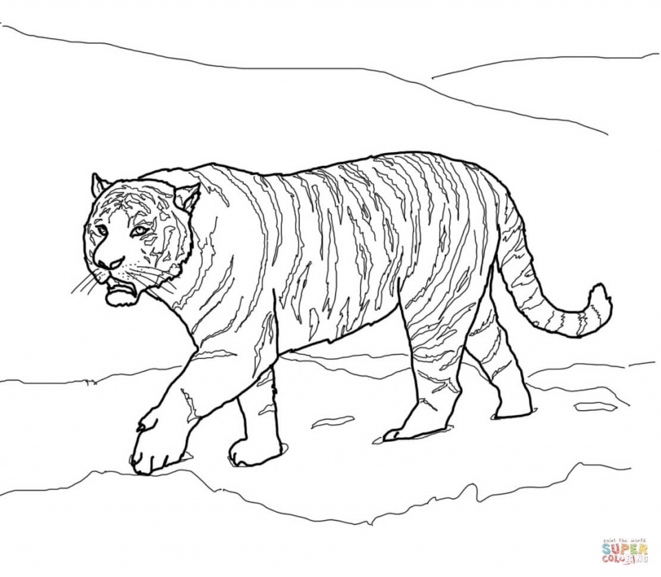 Download Get This Tiger Coloring Pages Realistic Animal Printables ...