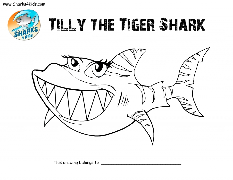 Get This Tiger Shark Coloring Pages 41267