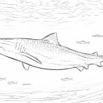 20+ Free Printable Shark Coloring Pages - EverFreeColoring.com