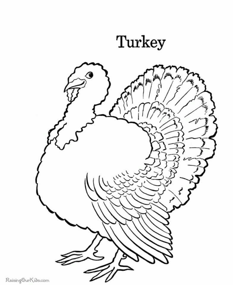 20-free-printable-turkey-coloring-pages-everfreecoloring