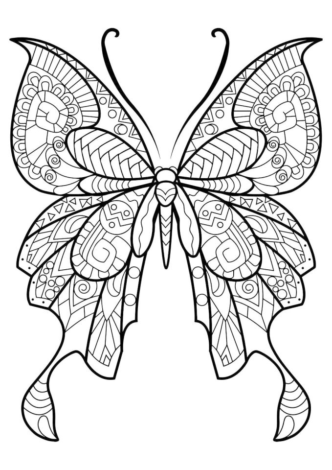 Easy Printable Shapes Coloring Pages Children La4xx Difficult Butterfly Adults