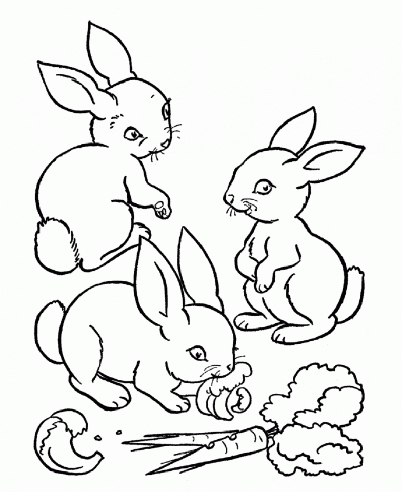 get this baby bunny coloring pages for toddlers 31633