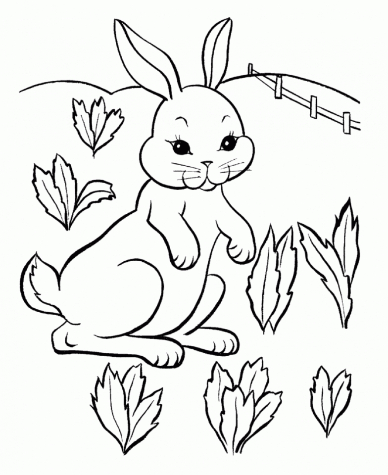 Get This Baby Bunny Coloring Pages for Toddlers 41738