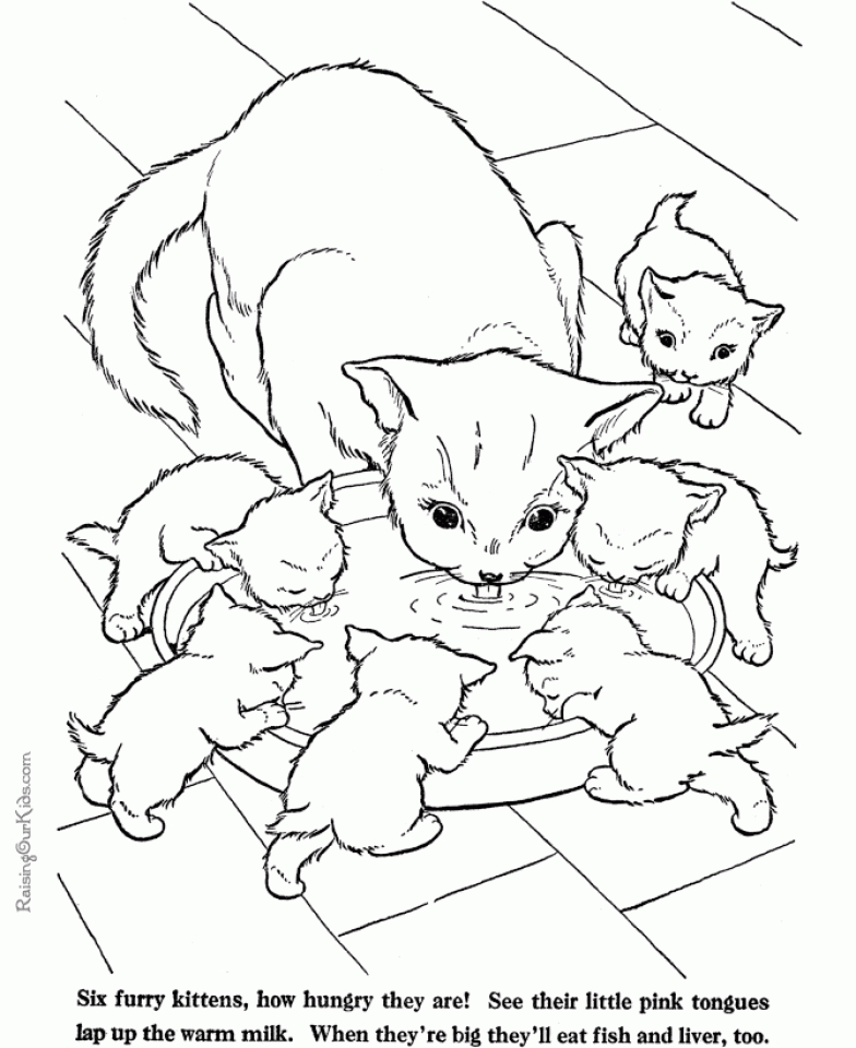 Get This Baby Kitten Coloring Pages 75616