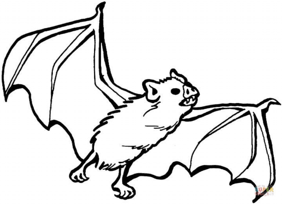 Get This Bat Coloring Pages Printable 73189